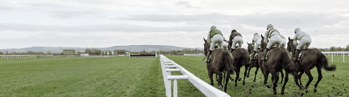 Lucky 15 calculator: racehorses at full gallop beside the white rails of a British racecourse